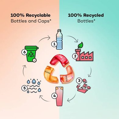 Elvital Recycling 910x539