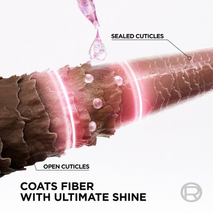 3600524135447 3
