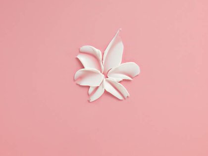 Hårfarve Excellence Creme Core Texture