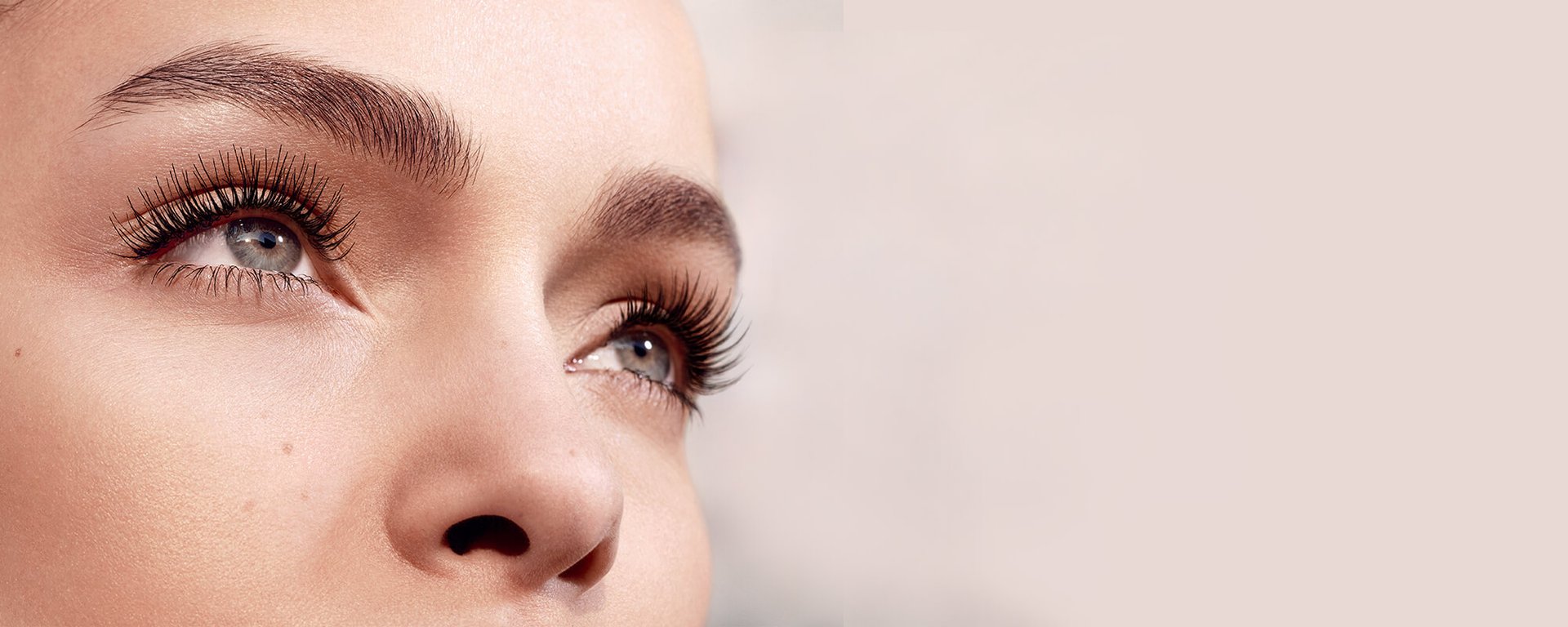 TelescopicHeroTitle2000x800px 2 2