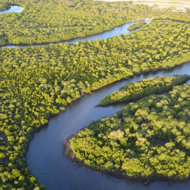 Article Push Environment