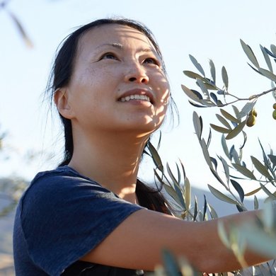 Article Push Investment